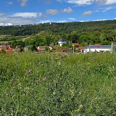 Bild vergr&ouml;&szlig;ern: 2026 PM 245 Lutherwanderung 2026 Schlossblick