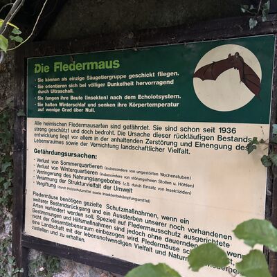 Bild vergr&ouml;&szlig;ern: Lehrtafel Naturschutzstation über Fledermäuse