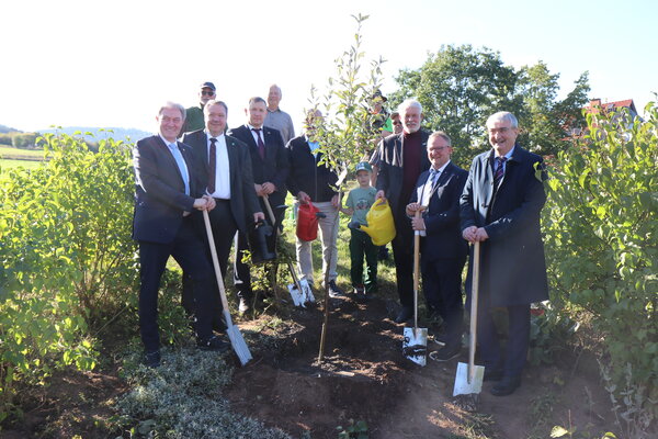 Baumpflanzung - bereits vor der Baumchallenge - in Beulwitz