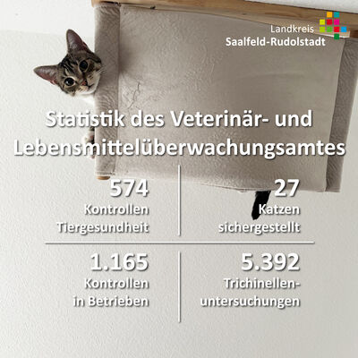Statistik des Veterinär- und Lebensmittelüberwachungsamtes